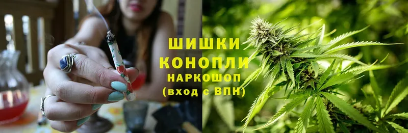 магазин продажи наркотиков  Вышний Волочёк  Конопля SATIVA & INDICA 